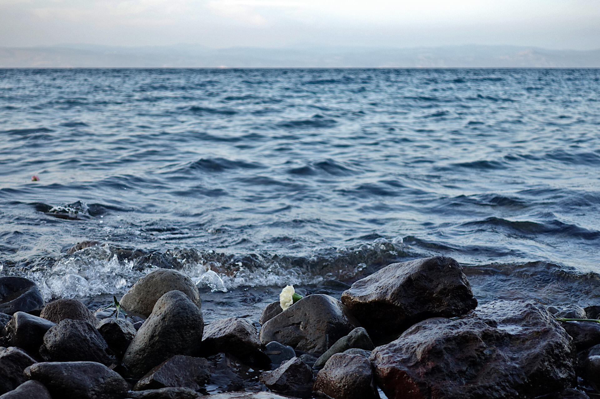 Untitled Untitled
