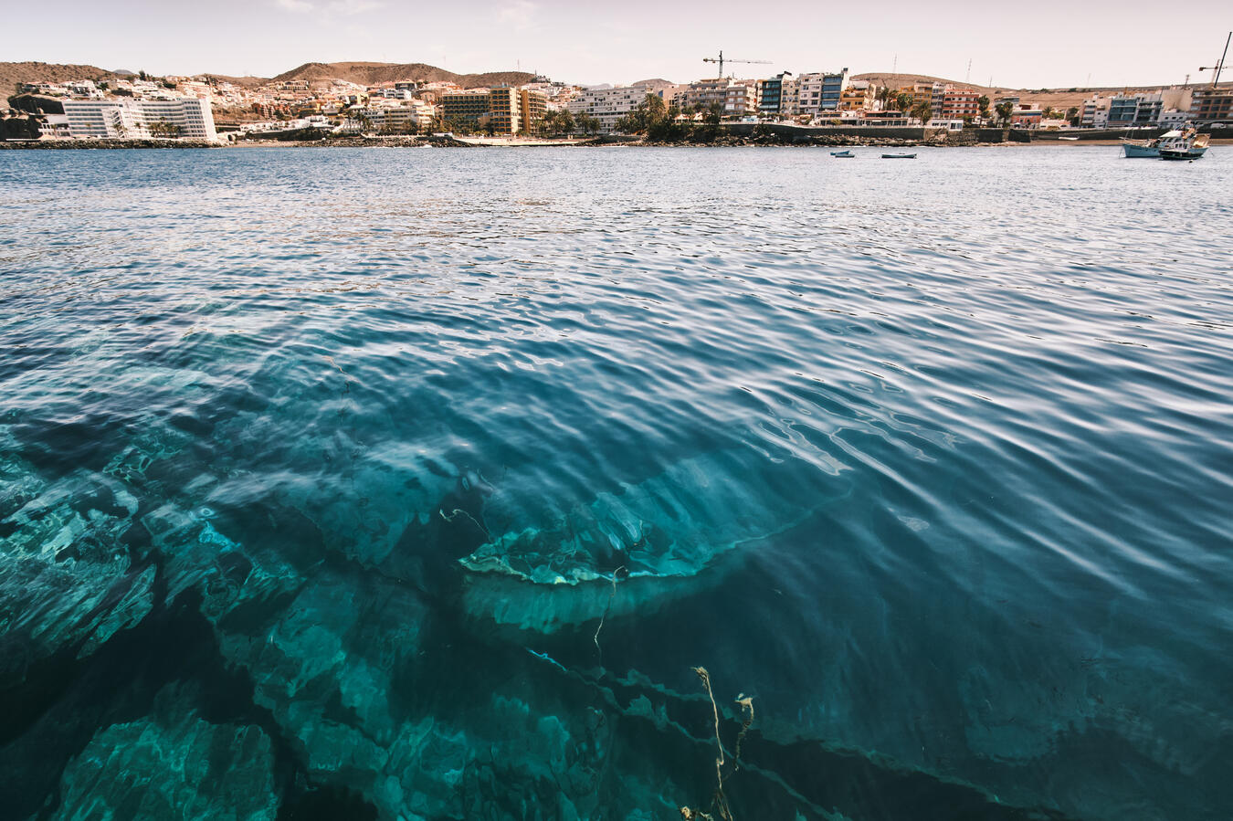boats migrant canary islands